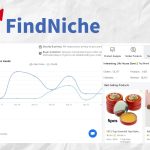 Find profitable dropshipping niches with FindNiche tool