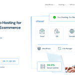 MilesWeb - Best Hosting for Small Businesses