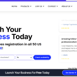 Process to Register a Company in USA: BusinessAnywhere Review