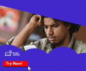 SocialCatfish Best Scam Detector Tool